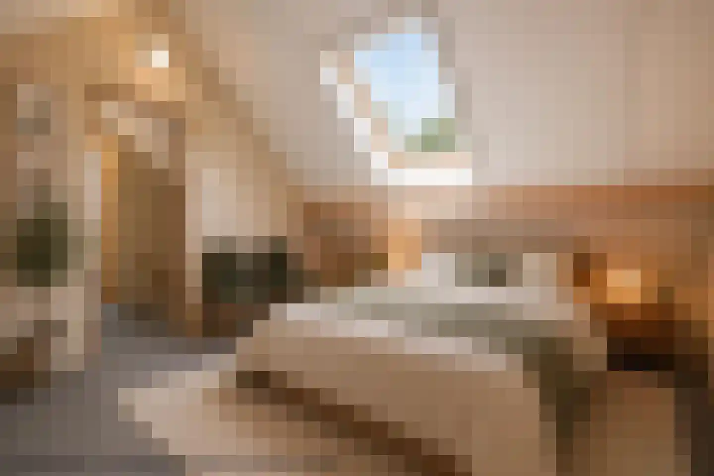 Feiko Clockstraat 77 Oude Pekela thumbnail 25