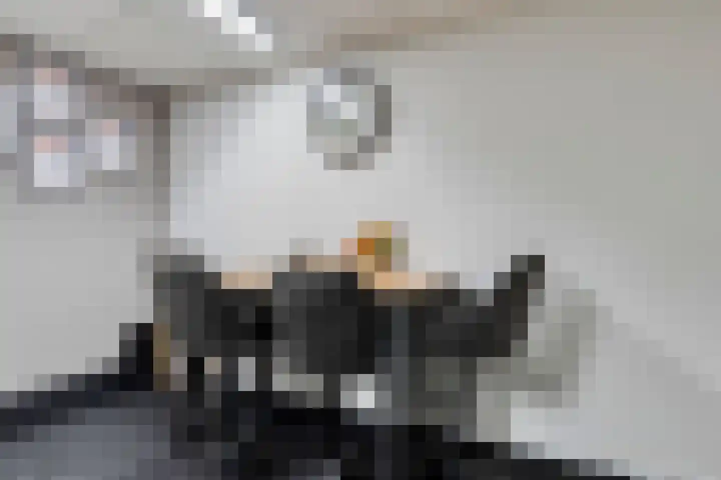 Feiko Clockstraat 88 Oude Pekela thumbnail 8