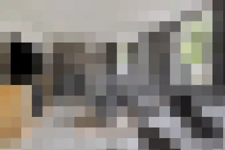 Feiko Clockstraat 89 Oude Pekela thumbnail 13