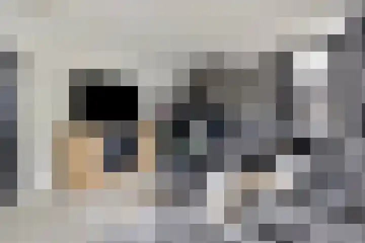 Feiko Clockstraat 89 Oude Pekela thumbnail 14