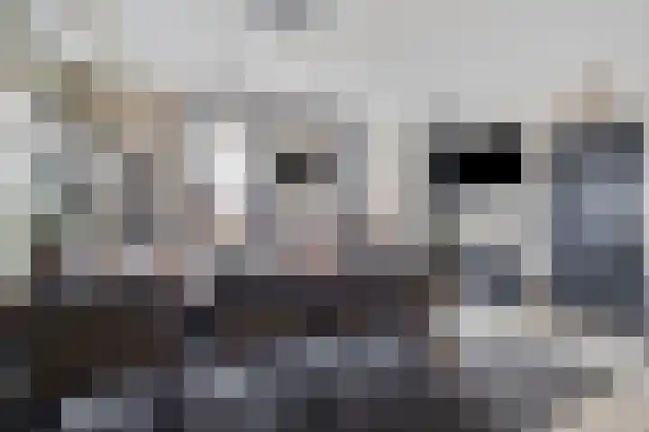 Feiko Clockstraat 89 Oude Pekela thumbnail 18