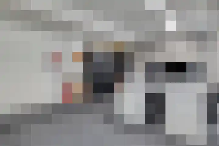 Feiko Clockstraat 89 Oude Pekela thumbnail 39