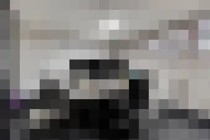 Feiko Clockstraat 89 Oude Pekela thumbnail 41