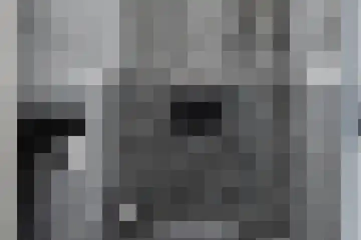Feiko Clockstraat 89 Oude Pekela thumbnail 9