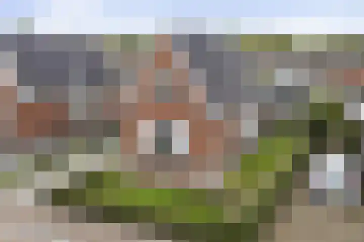 Feintensloane 12 Feanwâlden
