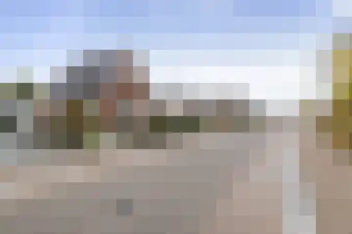 Feintensloane 12 Feanwâlden thumbnail 12