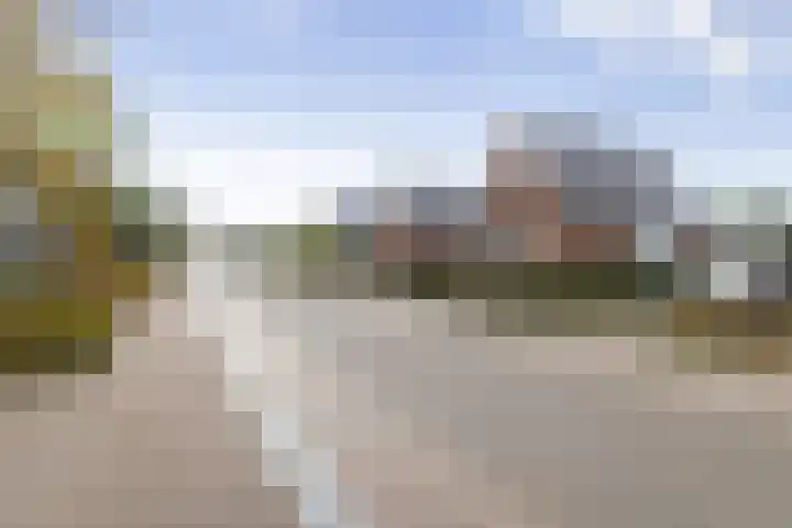 Feintensloane 12 Feanwâlden thumbnail 14