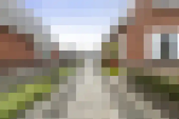 Feintensloane 12 Feanwâlden thumbnail 15