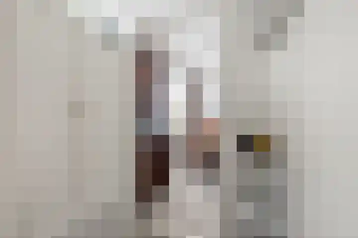 Feintensloane 12 Feanwâlden thumbnail 21