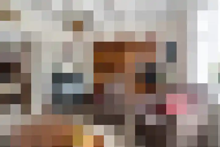 Feintensloane 12 Feanwâlden thumbnail 28