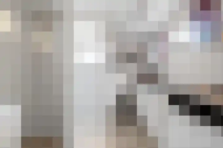 Feintensloane 12 Feanwâlden thumbnail 31