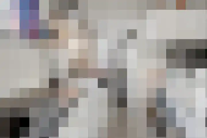 Feintensloane 12 Feanwâlden thumbnail 32