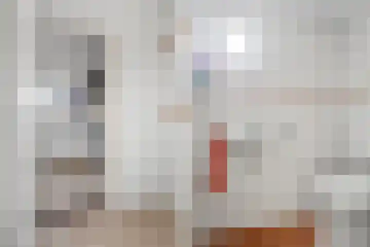 Feintensloane 12 Feanwâlden thumbnail 33