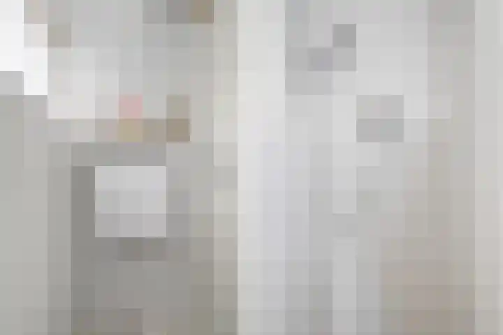 Feintensloane 12 Feanwâlden thumbnail 35
