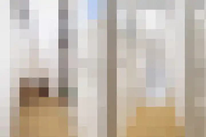 Feintensloane 12 Feanwâlden thumbnail 36