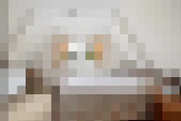 Feintensloane 12 Feanwâlden thumbnail 37