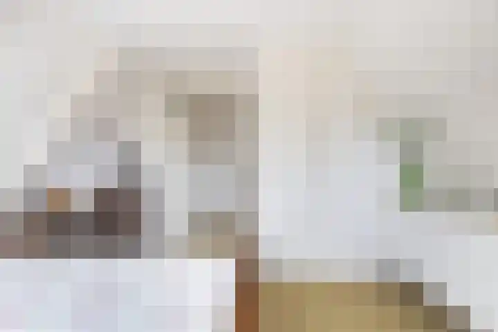 Feintensloane 12 Feanwâlden thumbnail 39