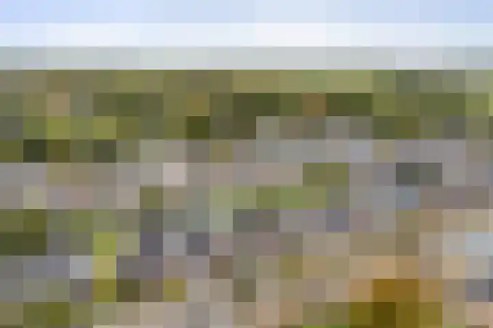 Feintensloane 12 Feanwâlden thumbnail 4