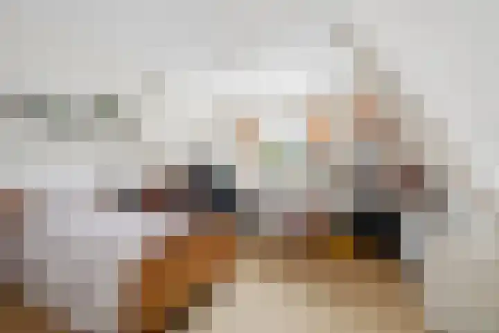 Feintensloane 12 Feanwâlden thumbnail 40
