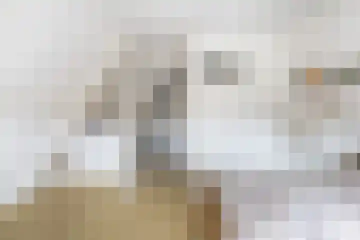 Feintensloane 12 Feanwâlden thumbnail 41