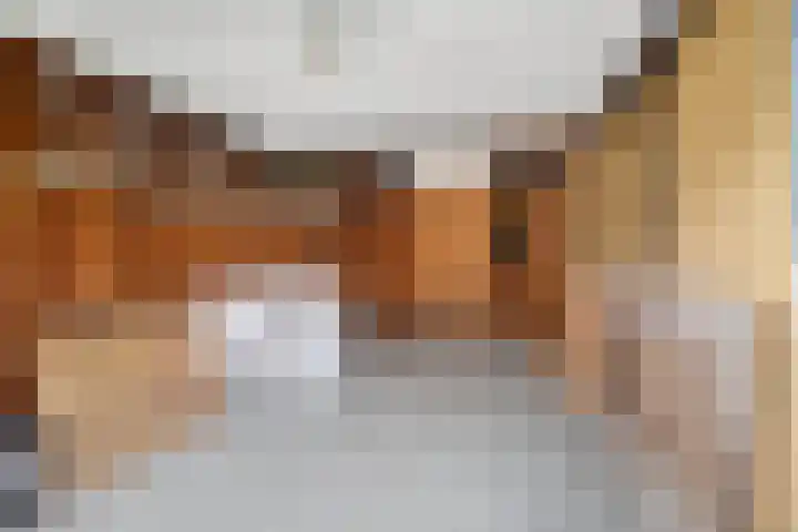 Feintensloane 12 Feanwâlden thumbnail 45