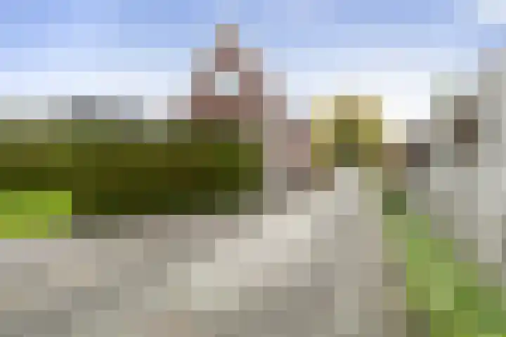 Feintensloane 12 Feanwâlden thumbnail 46