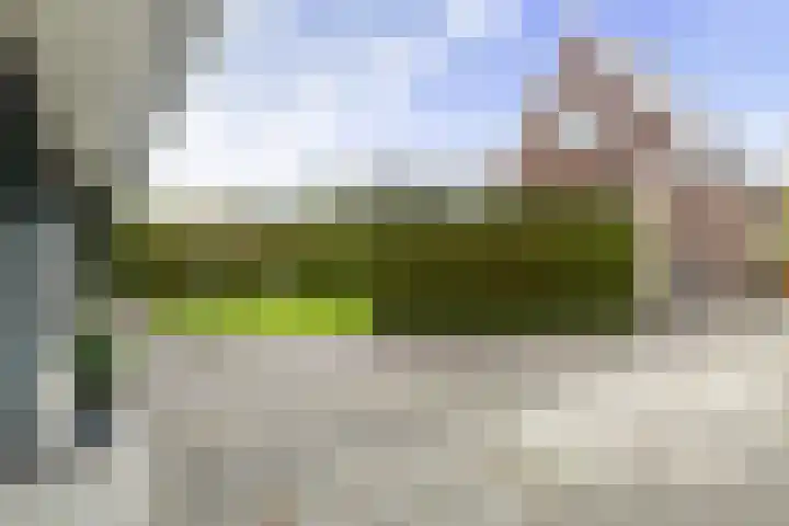 Feintensloane 12 Feanwâlden thumbnail 47