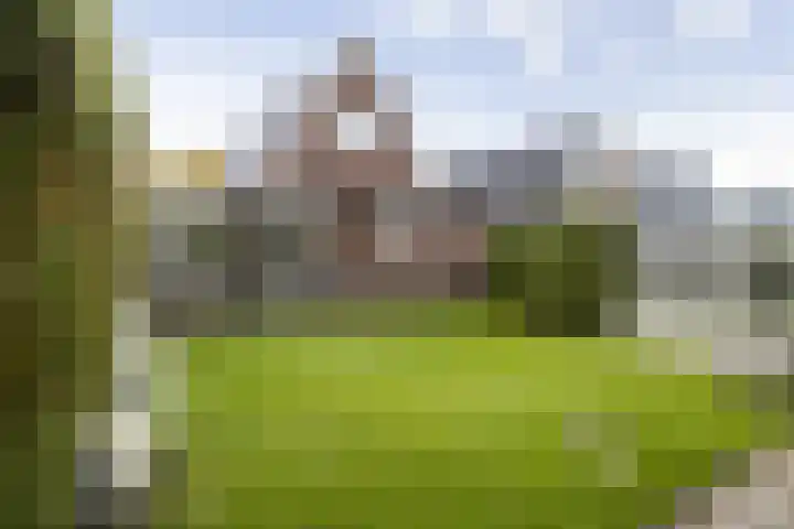 Feintensloane 12 Feanwâlden thumbnail 48