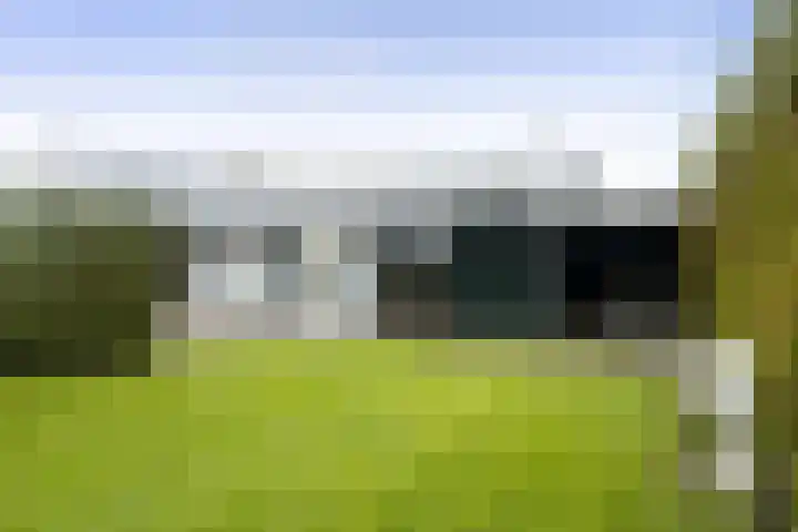 Feintensloane 12 Feanwâlden thumbnail 49