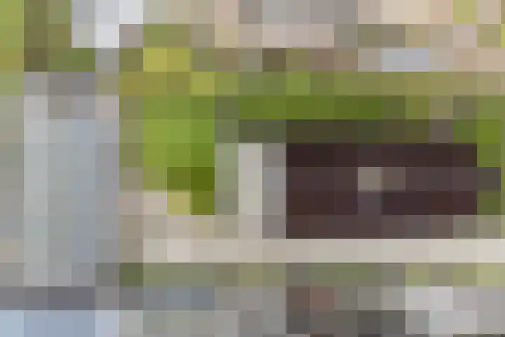 Feintensloane 12 Feanwâlden thumbnail 5
