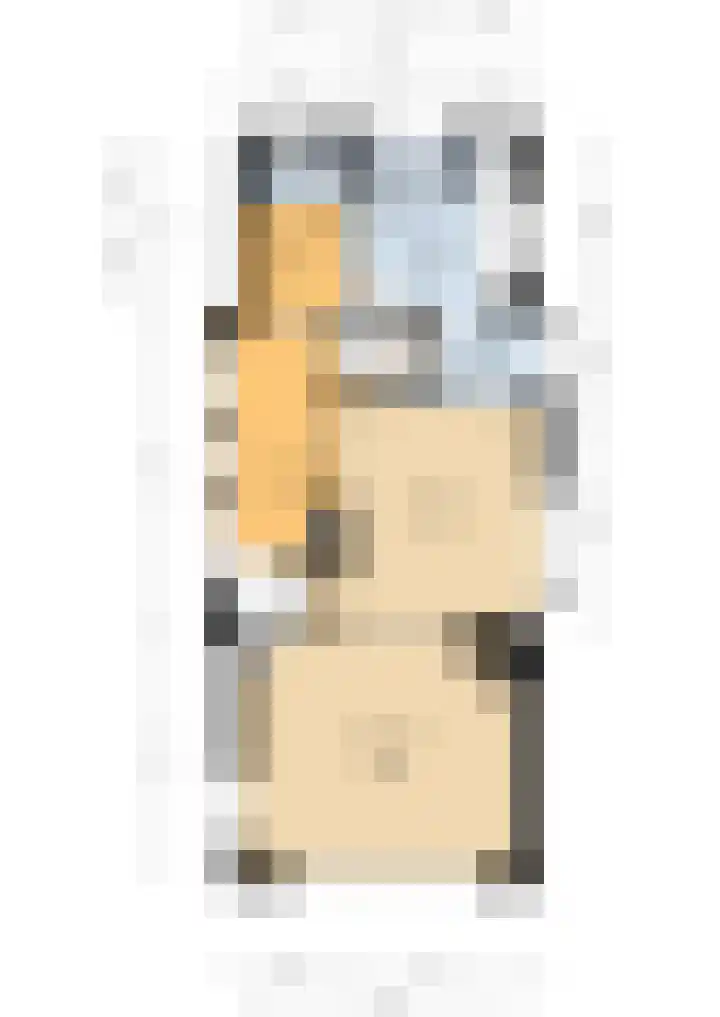 Feintensloane 12 Feanwâlden thumbnail 50