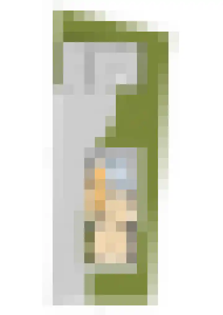 Feintensloane 12 Feanwâlden thumbnail 58