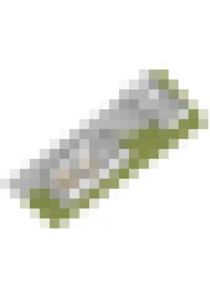 Feintensloane 12 Feanwâlden thumbnail 59