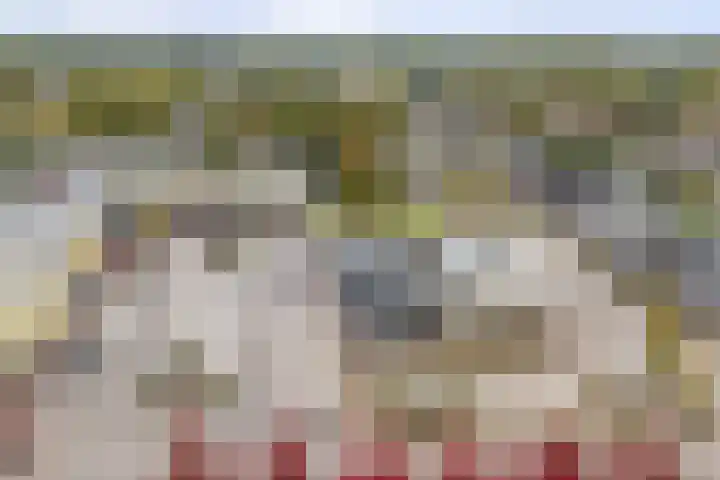 Feintensloane 12 Feanwâlden thumbnail 6
