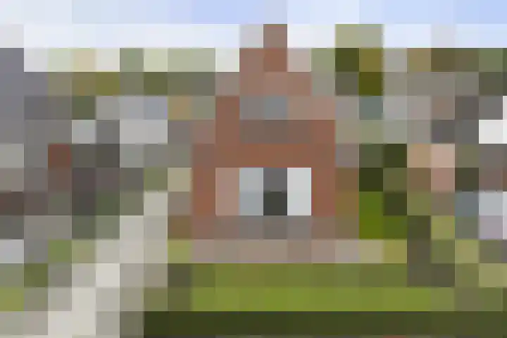 Feintensloane 12 Feanwâlden thumbnail 9