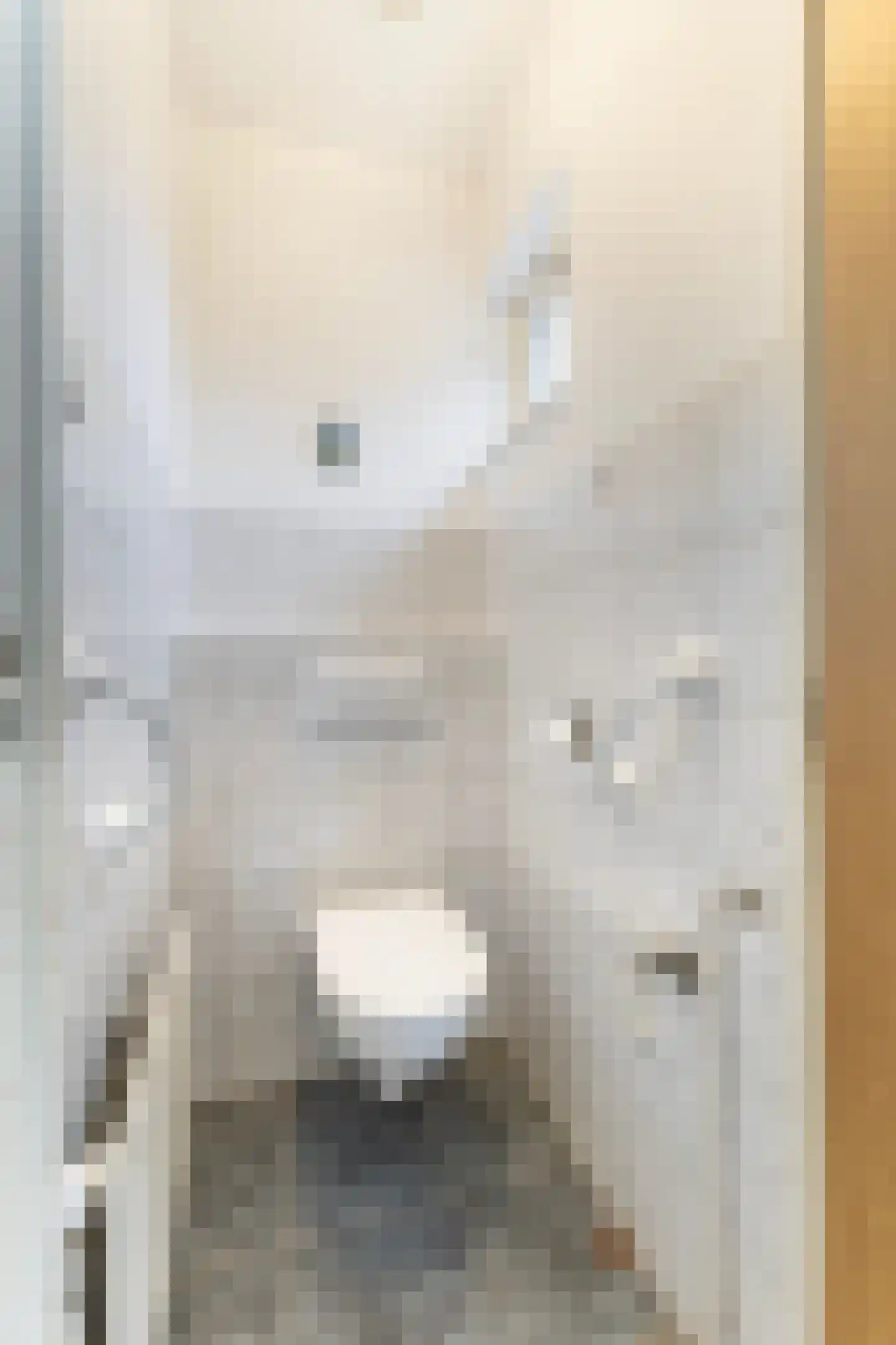 Feintensloane 27 Feanwâlden thumbnail 15