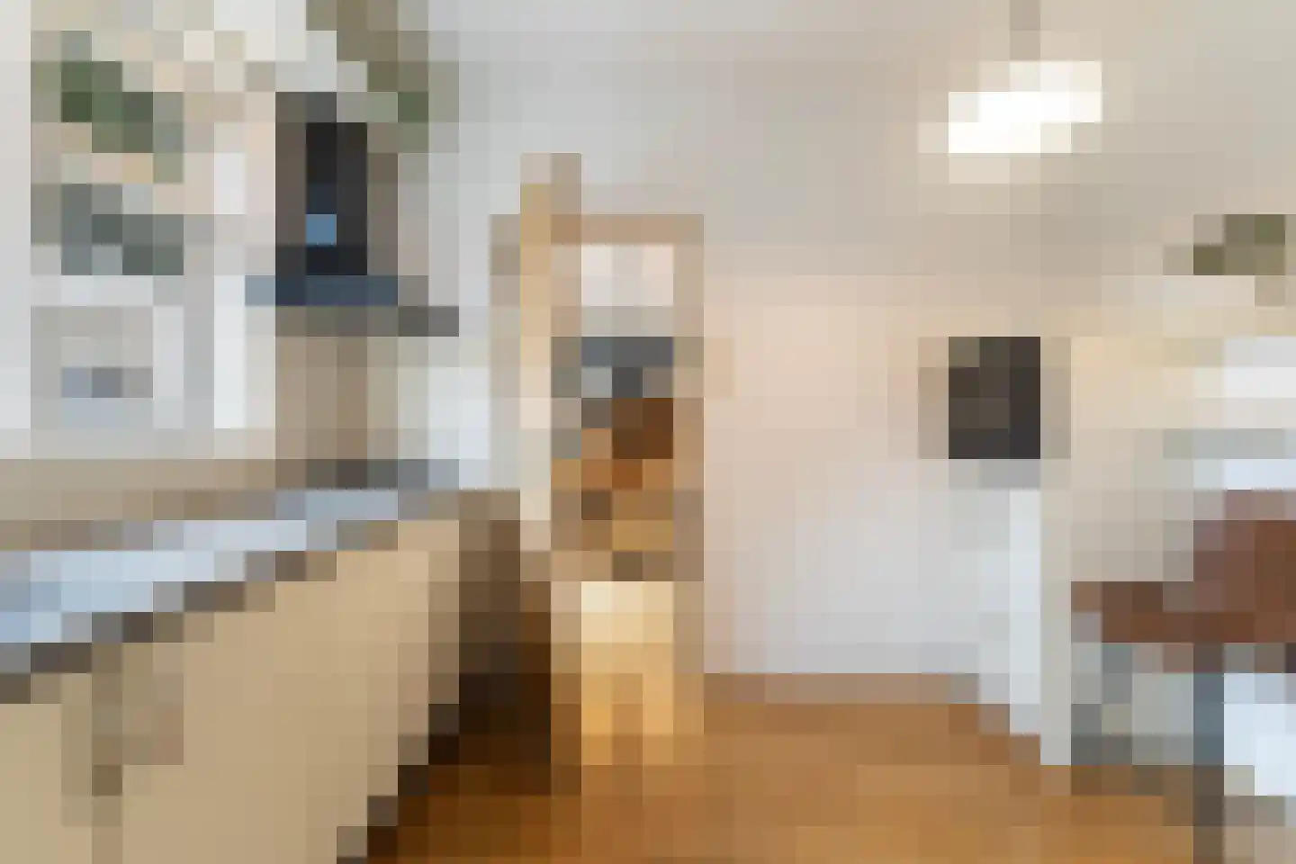 Feintensloane 27 Feanwâlden thumbnail 22