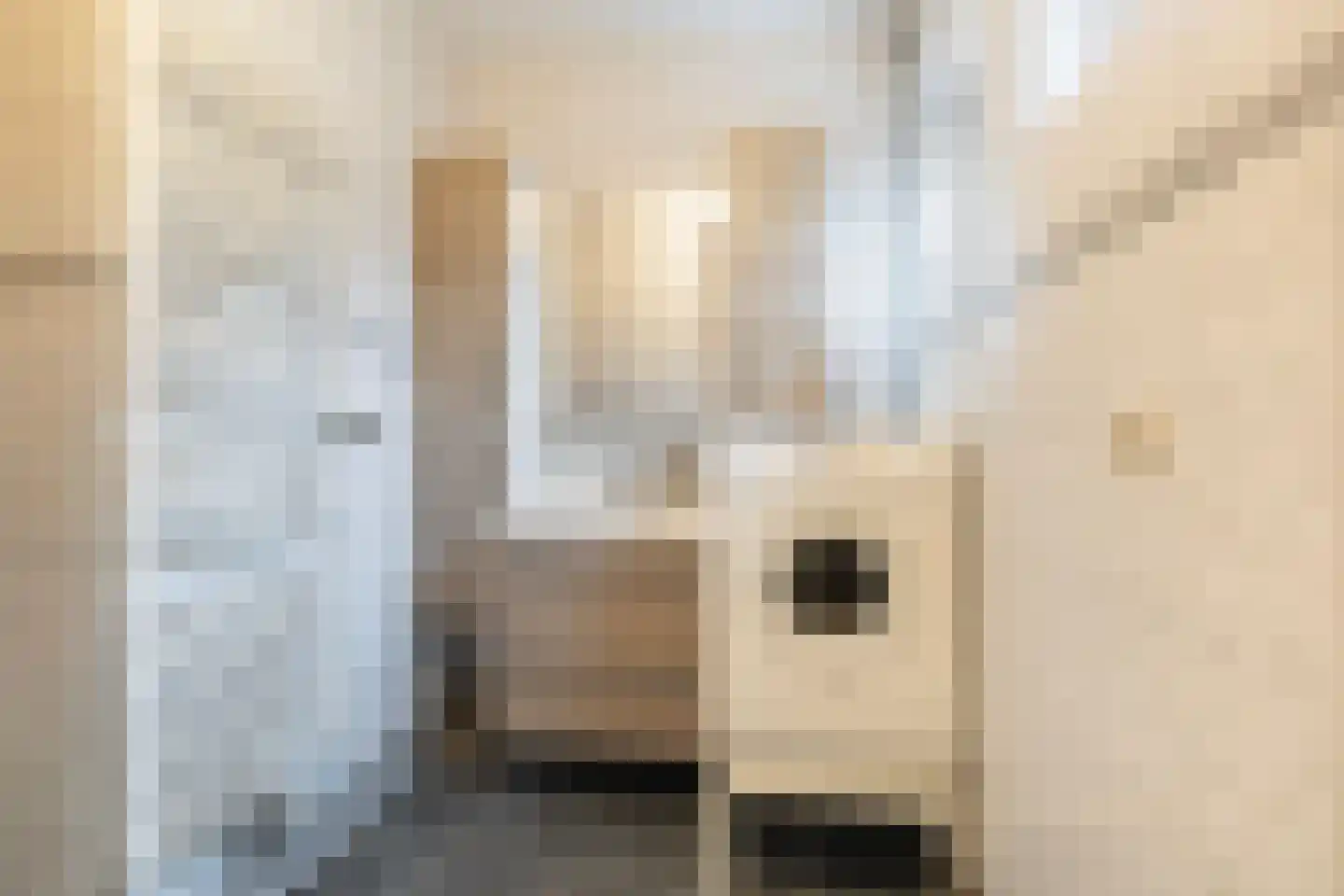 Feintensloane 27 Feanwâlden thumbnail 24