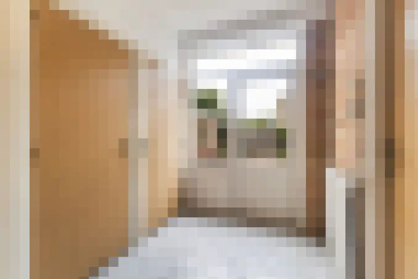Feintensloane 27 Feanwâlden thumbnail 25