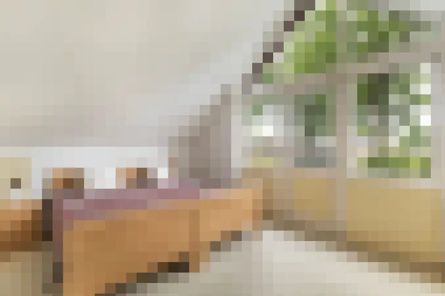 Feintensloane 27 Feanwâlden thumbnail 31