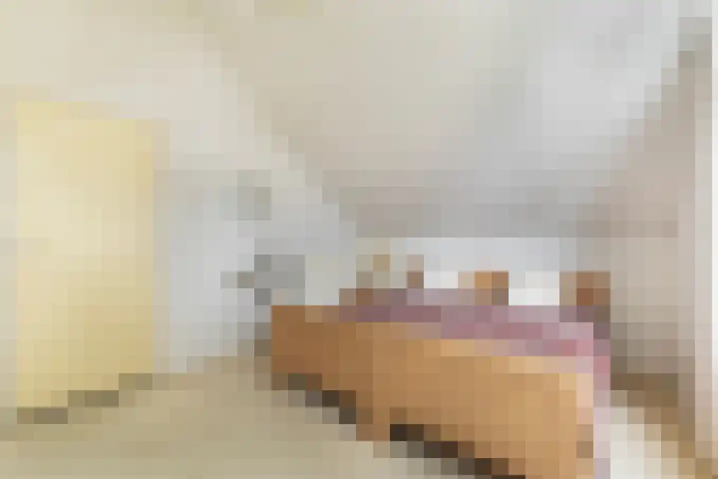 Feintensloane 27 Feanwâlden thumbnail 32