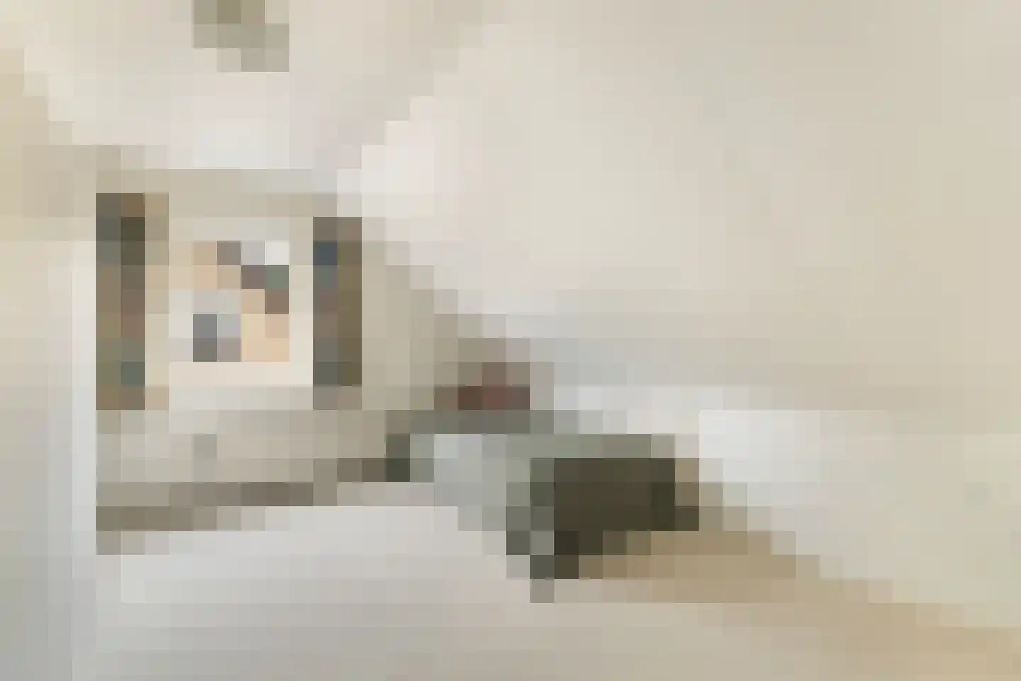 Feintensloane 27 Feanwâlden thumbnail 33
