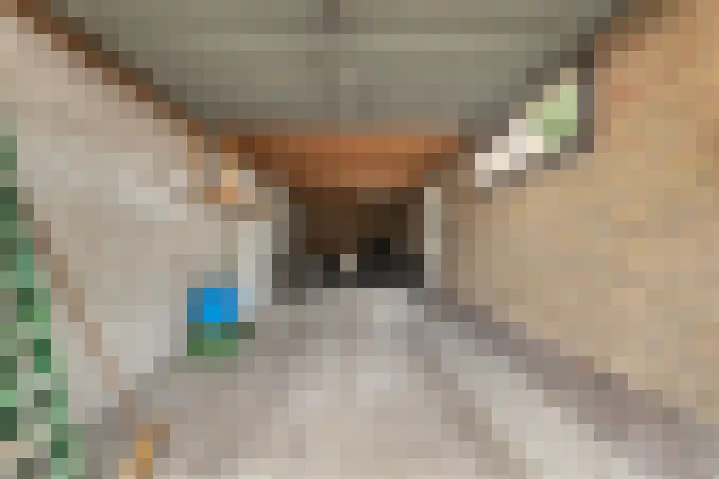 Feintensloane 27 Feanwâlden thumbnail 38