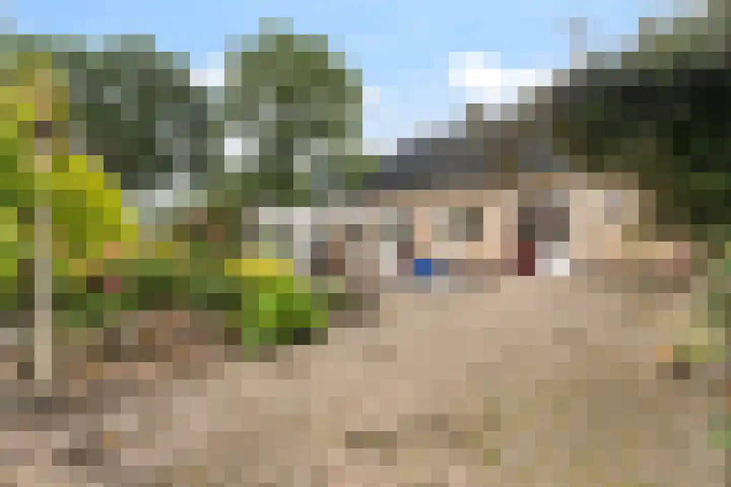 Feintensloane 27 Feanwâlden thumbnail 41
