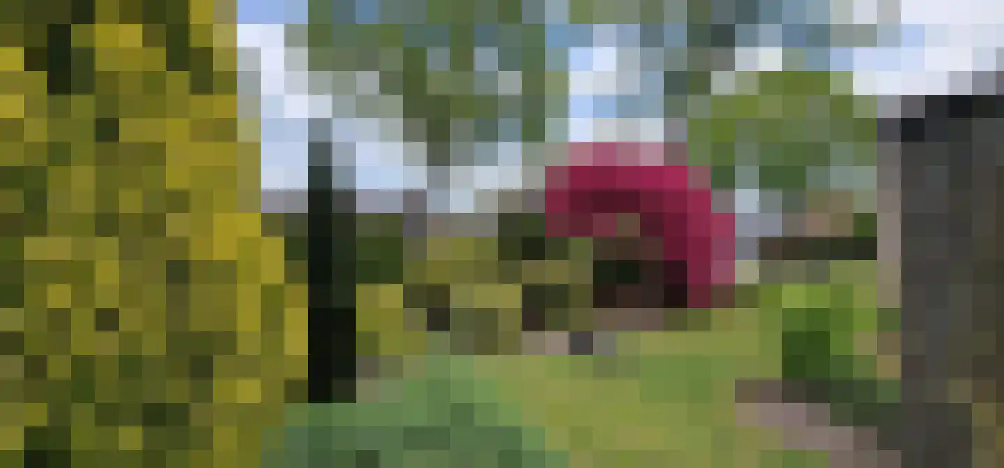 Feintensloane 27 Feanwâlden thumbnail 43