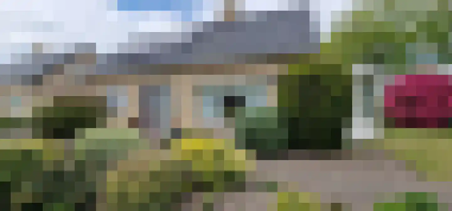 Feintensloane 27 Feanwâlden thumbnail 44