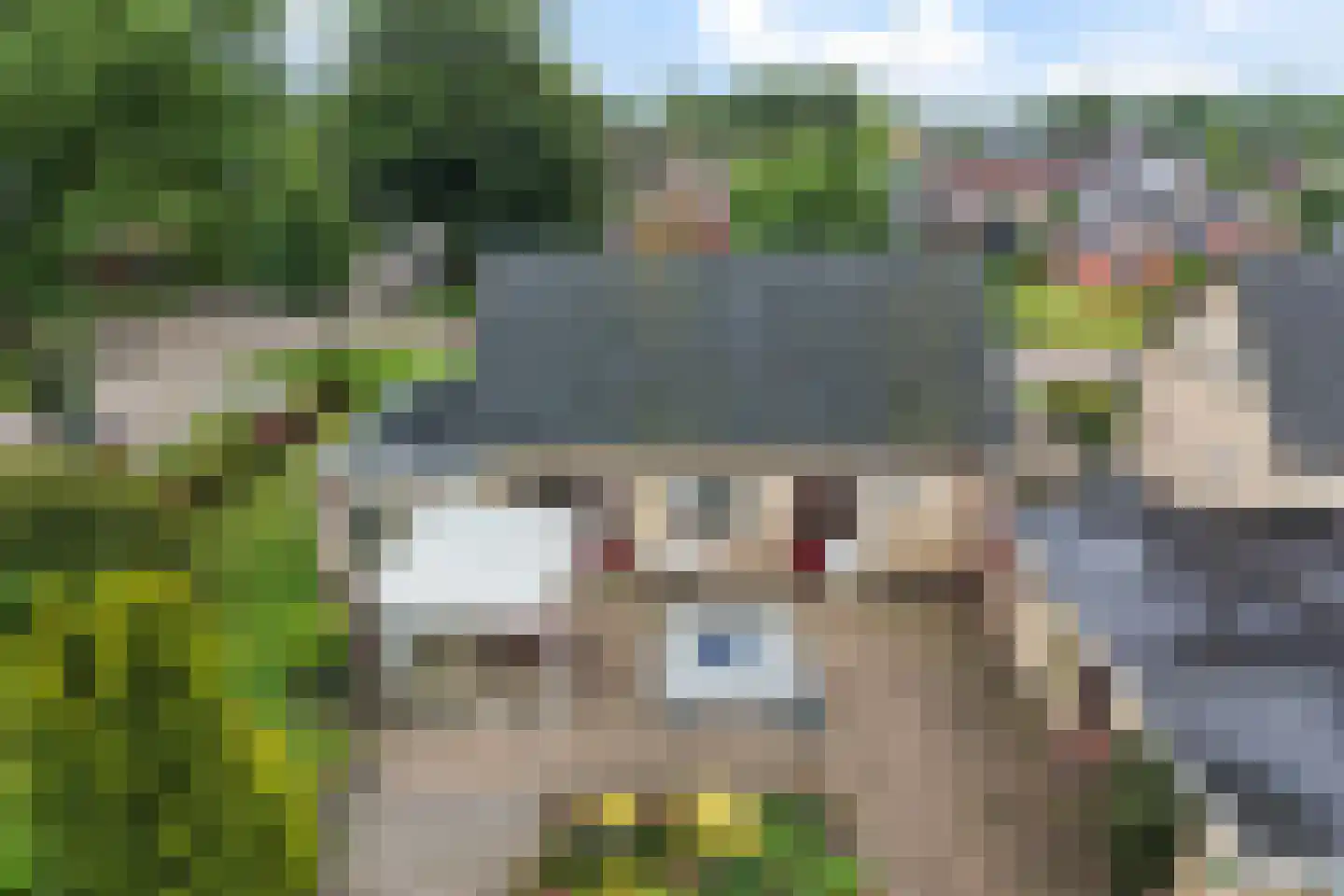 Feintensloane 27 Feanwâlden thumbnail 46