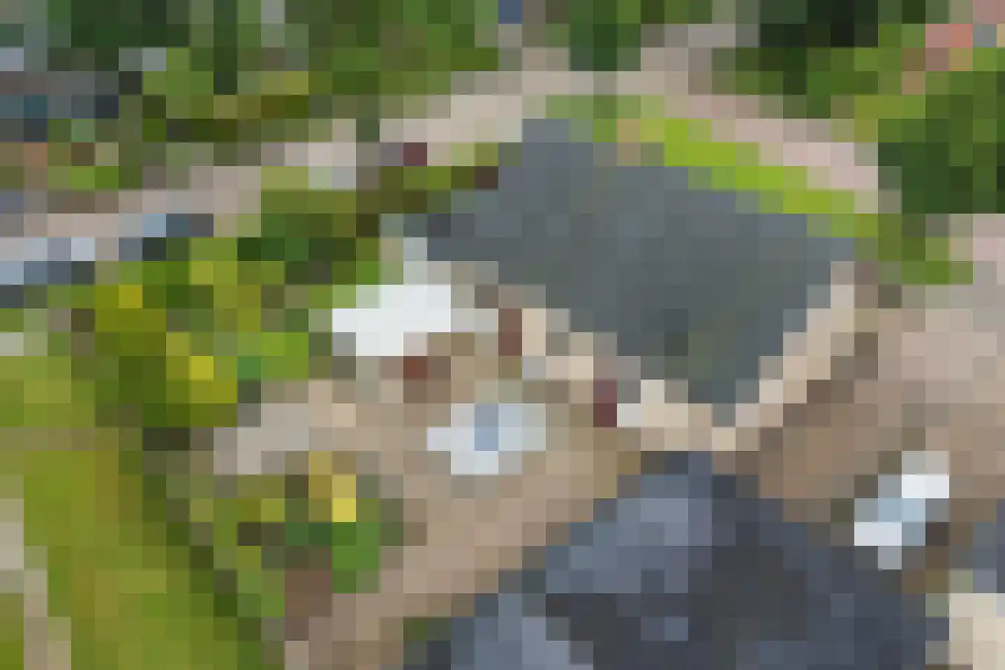 Feintensloane 27 Feanwâlden thumbnail 47