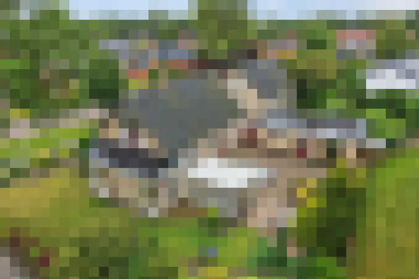 Feintensloane 27 Feanwâlden thumbnail 48