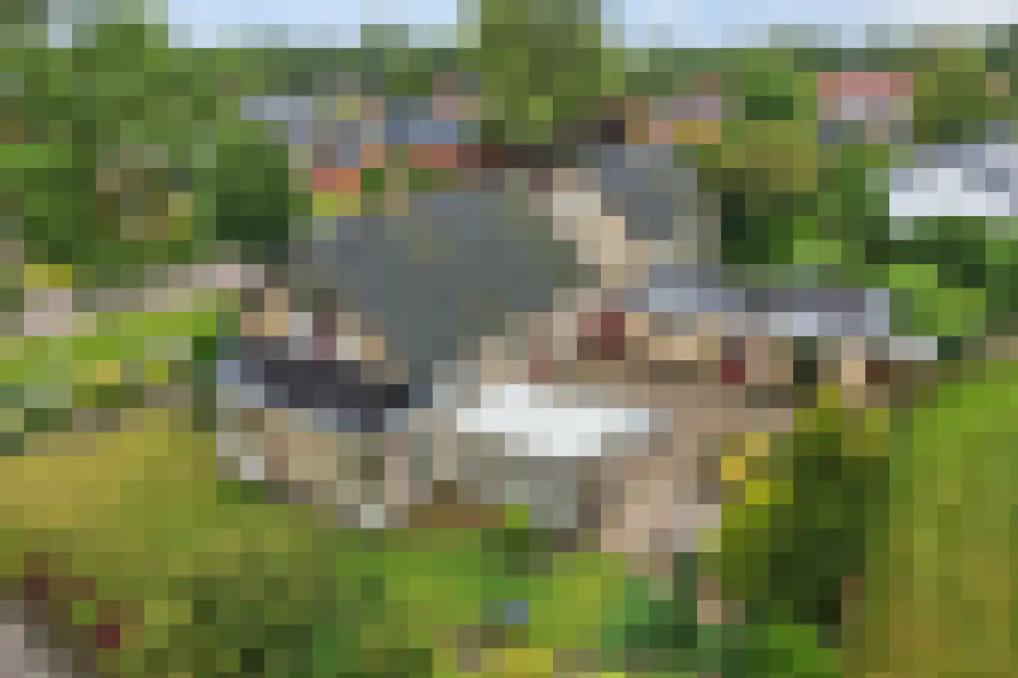 Feintensloane 27 Feanwâlden thumbnail 5